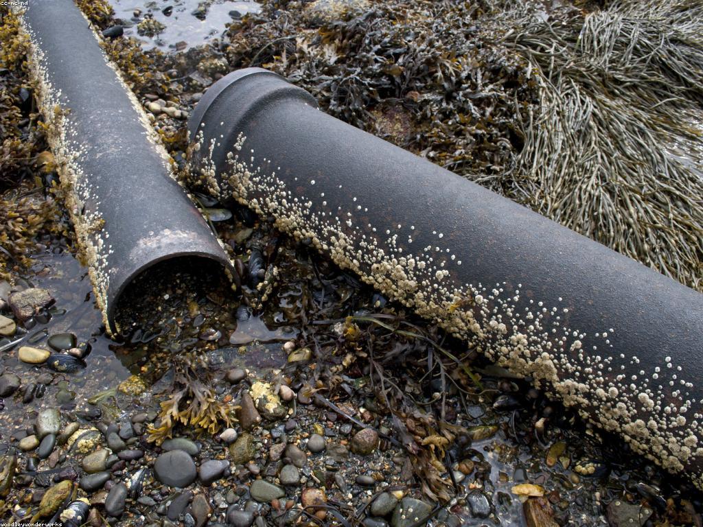 ឱកាសនិងបរាជ័យក្នុងទំនាក់ទំនង