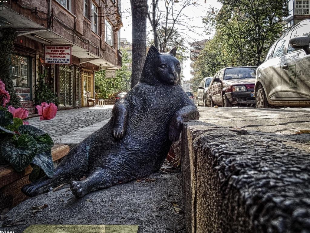 ឱកាសនិងបរាជ័យក្នុងការអភិវឌ្ឍផ្ទាល់ខ្លួន